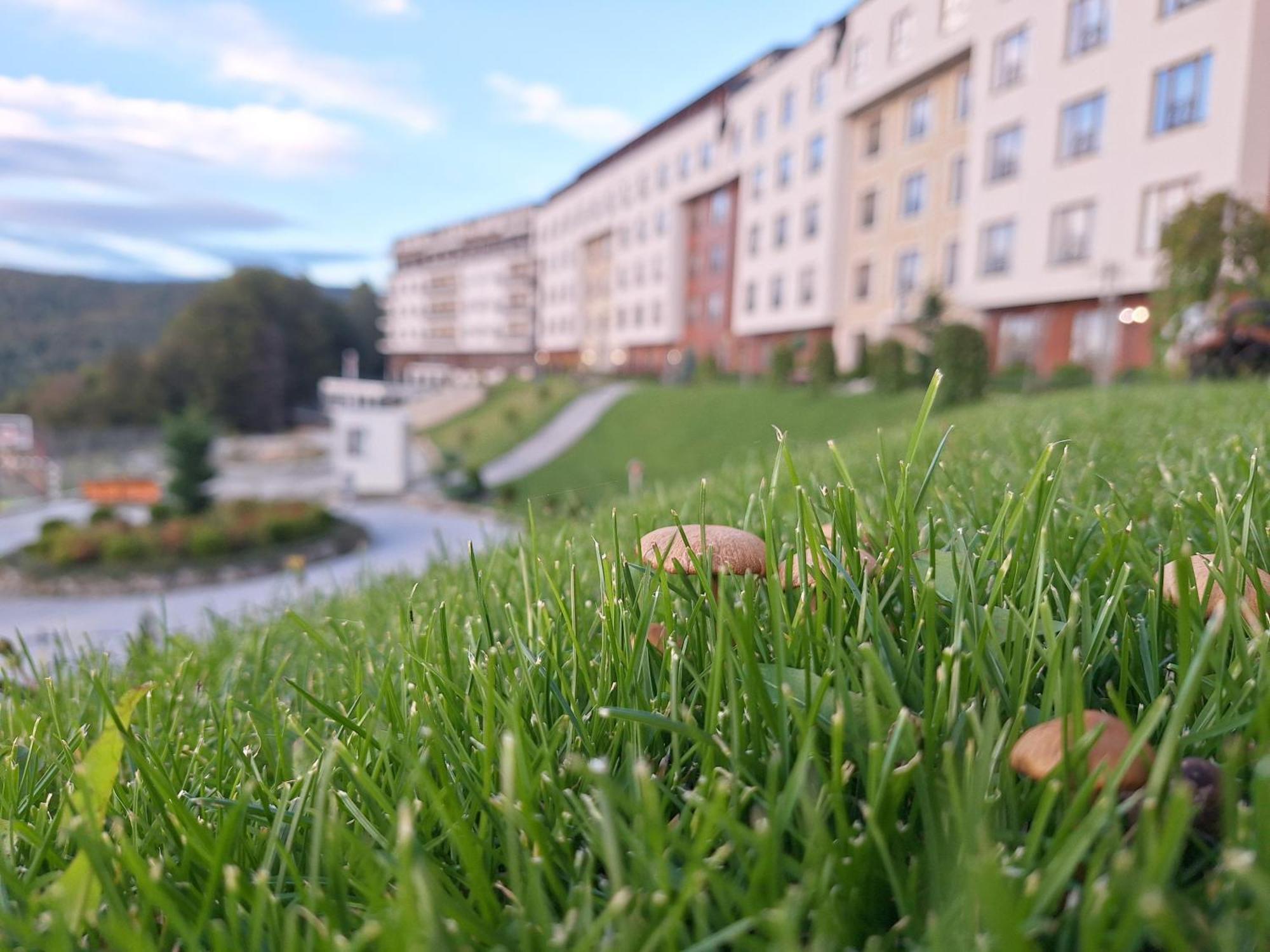 Ferienwohnung Vistanova Milmari S33 Kopaonik Exterior foto